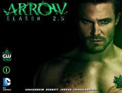 Arrow - Season 2.5 #01