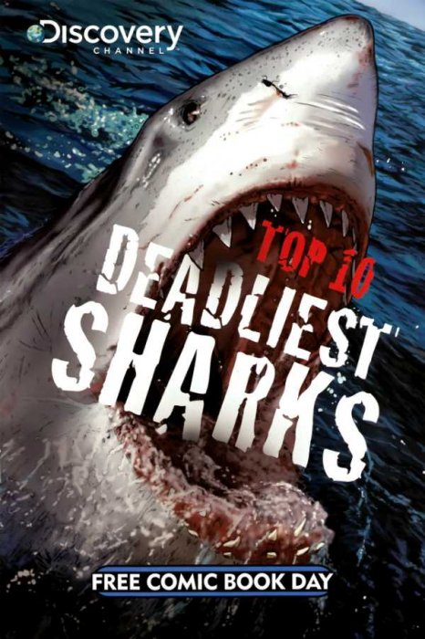 Top 10 Deadliest Sharks #1
