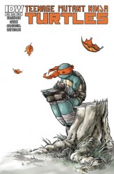 Teenage Mutant Ninja Turtles #30