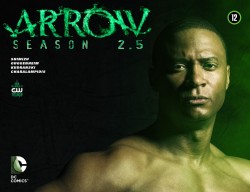 Arrow - Season 2.5 #12