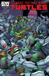 Teenage Mutant Ninja Turtles #43