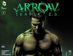 Arrow - Season 2.5 #17