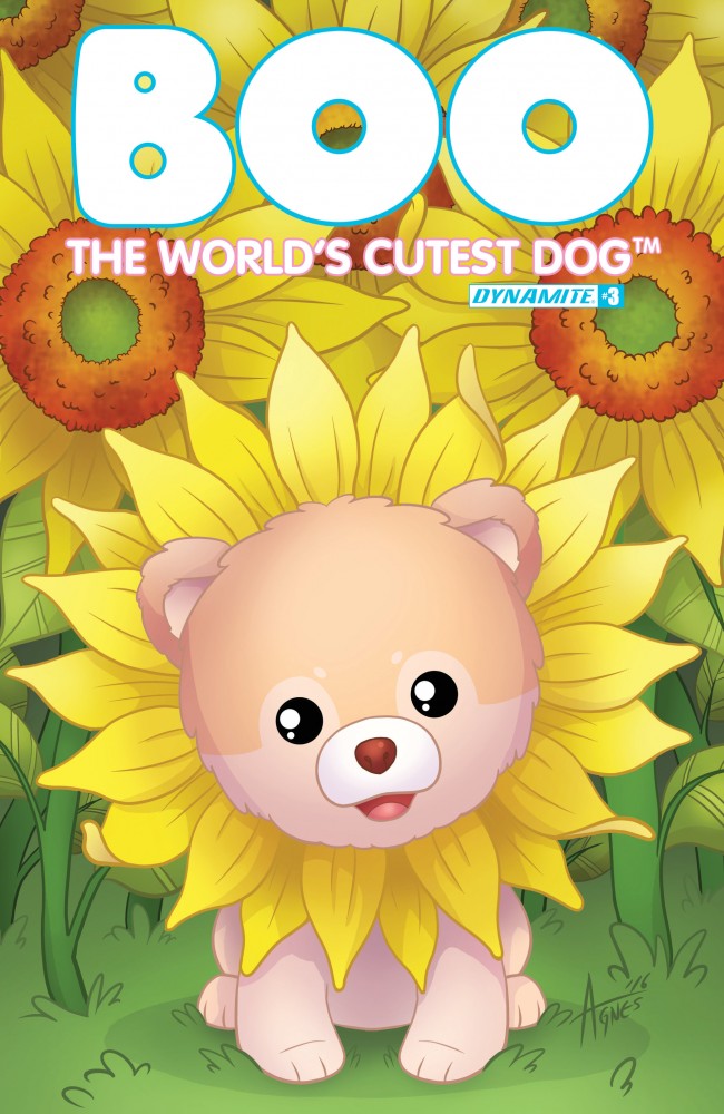 Boo, The World's Cutest Dog #3