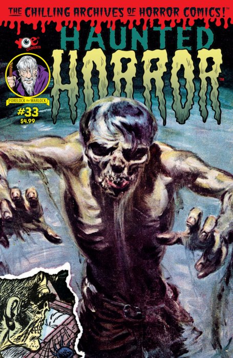 Haunted Horror #33