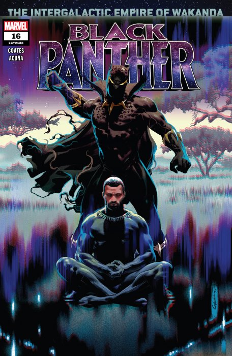 Black Panther #16