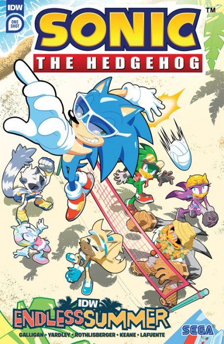 IDW Endless Summer - Sonic The Hedgehog #1
