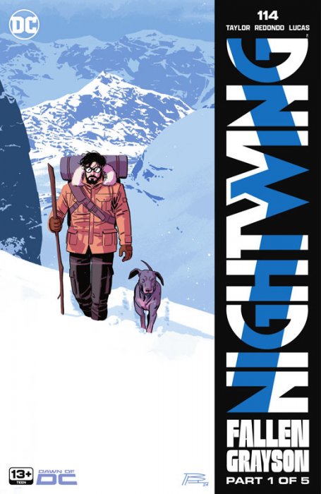 Nightwing #114