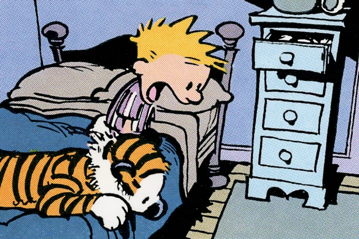 Calvin and Hobbes Portable Compendium, Book 2
