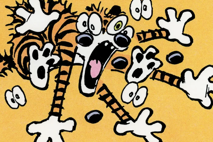 Calvin and Hobbes Portable Compendium, Book 5