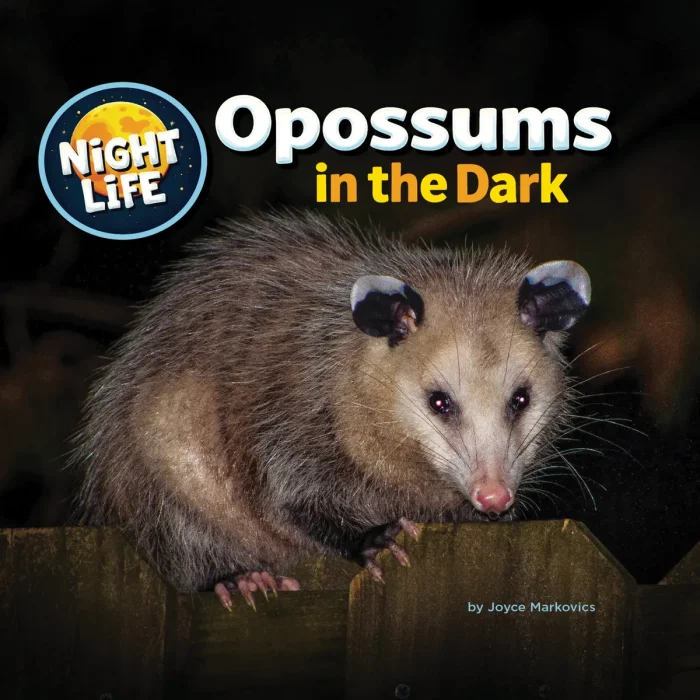 Opossums in the Dark (Night Life)